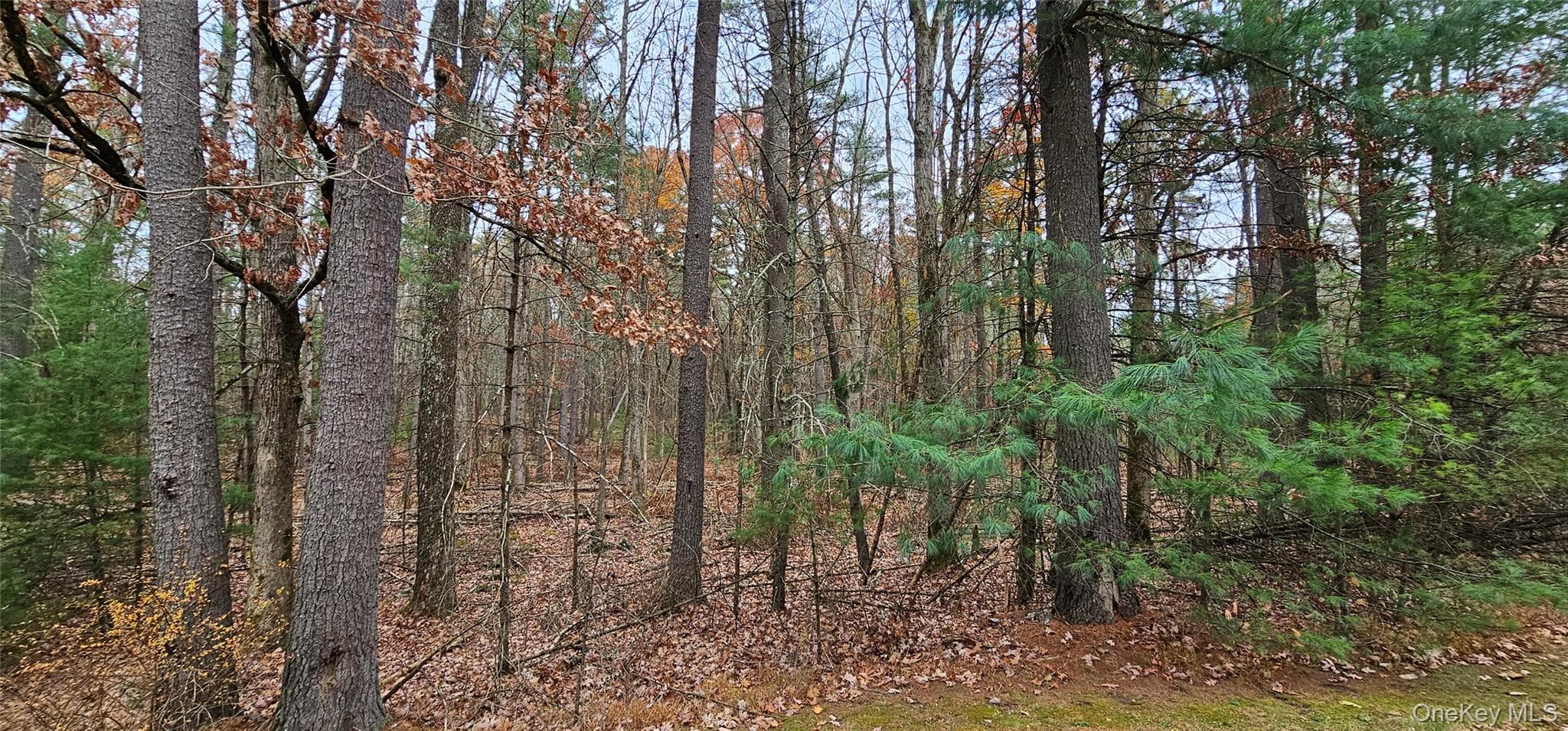 Lot 28 Summit Drive thumbnail 3