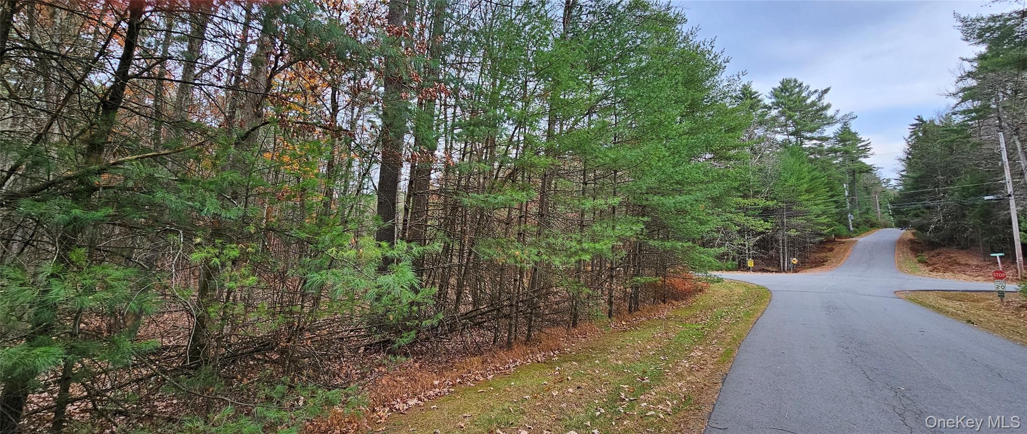 Lot 28 Summit Drive thumbnail 4