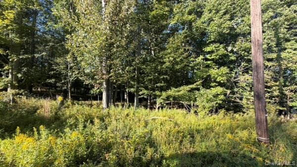 Highview Avenue thumbnail 7
