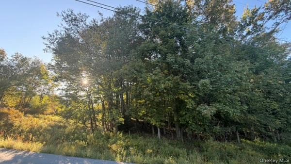 Highview Avenue thumbnail 2