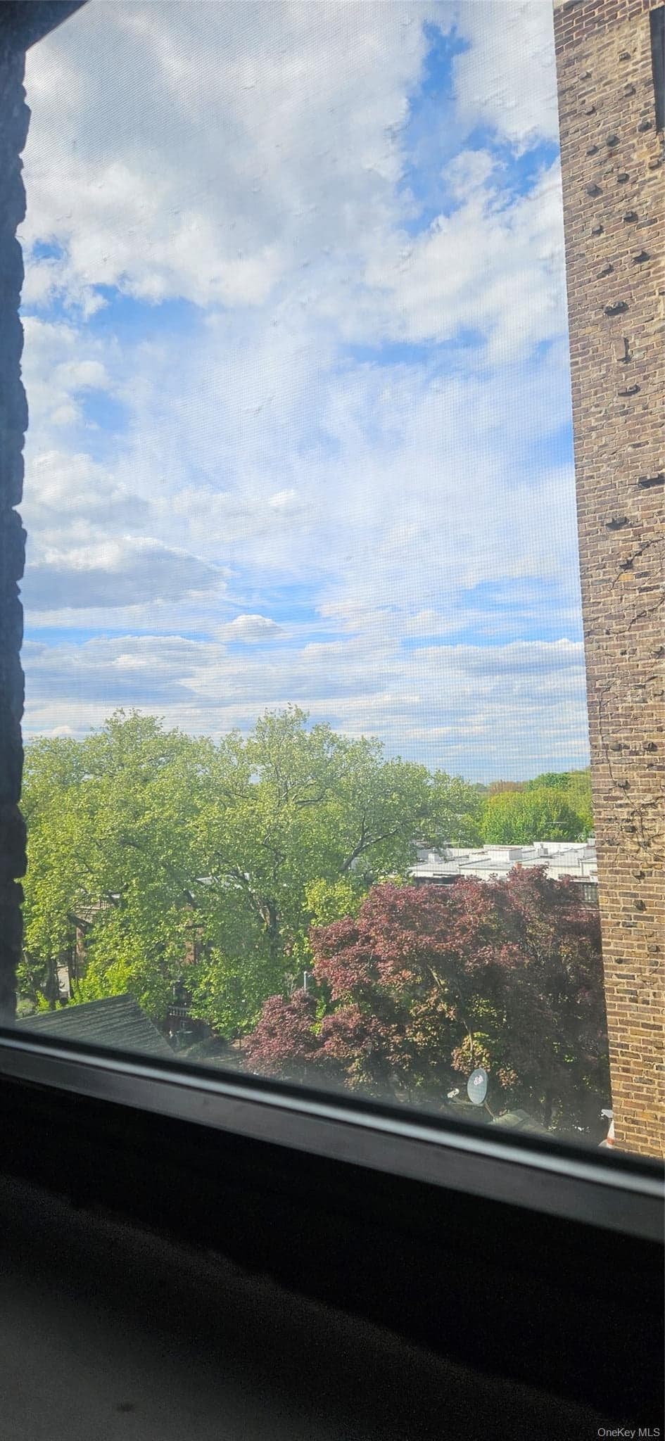 130 Bay Ridge Parkway Unit: 4E thumbnail 12
