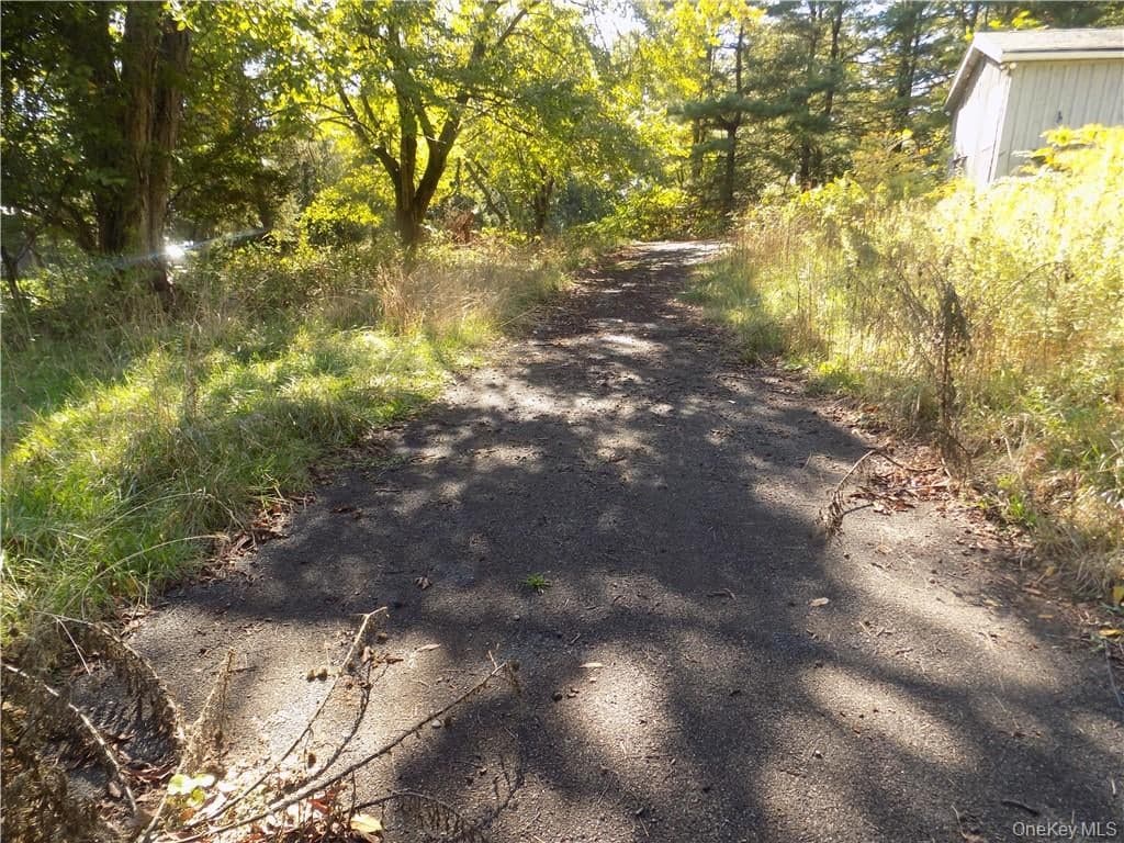 18 Dorland Avenue thumbnail 11