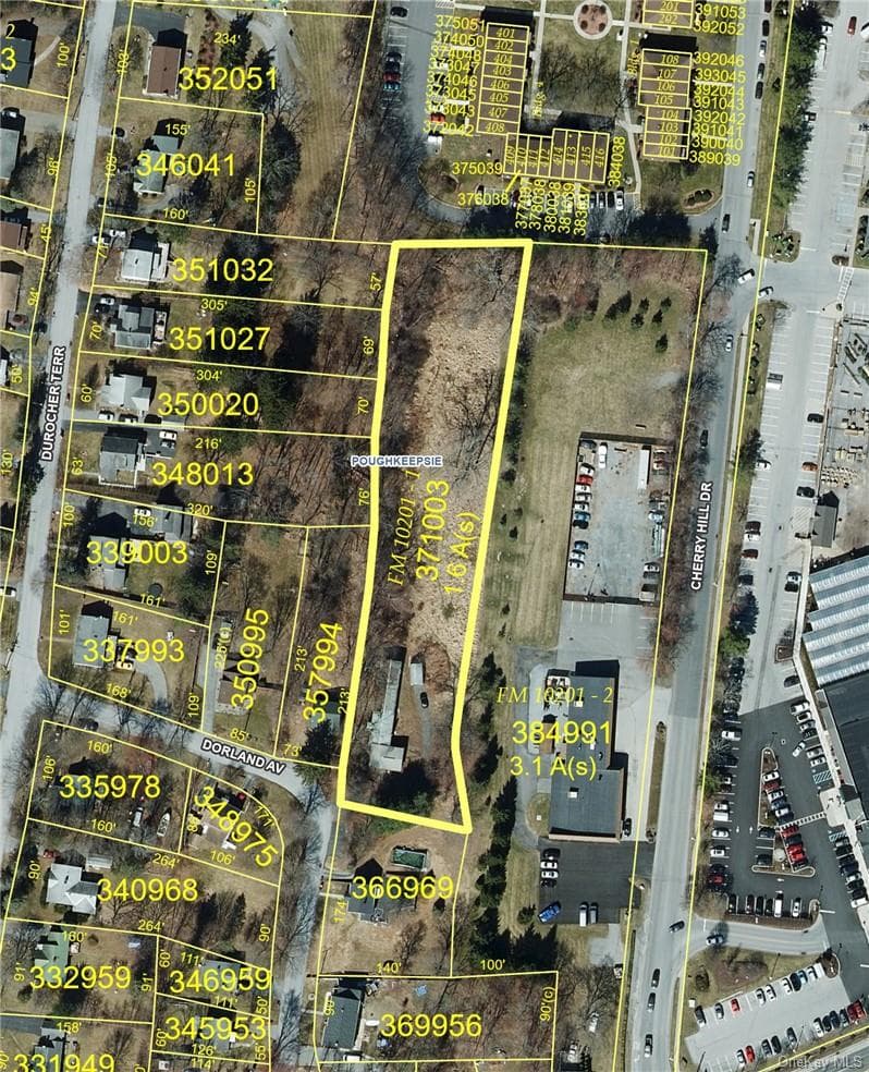 18 Dorland Avenue thumbnail 8