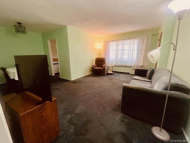 249-32 63rd Avenue Unit: 41227 thumbnail 10