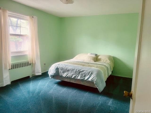 249-32 63rd Avenue Unit: 41227 thumbnail 15
