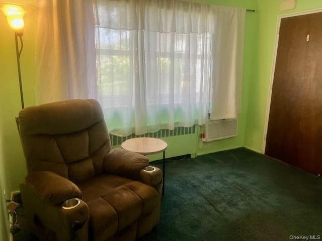 249-32 63rd Avenue Unit: 41227 thumbnail 19