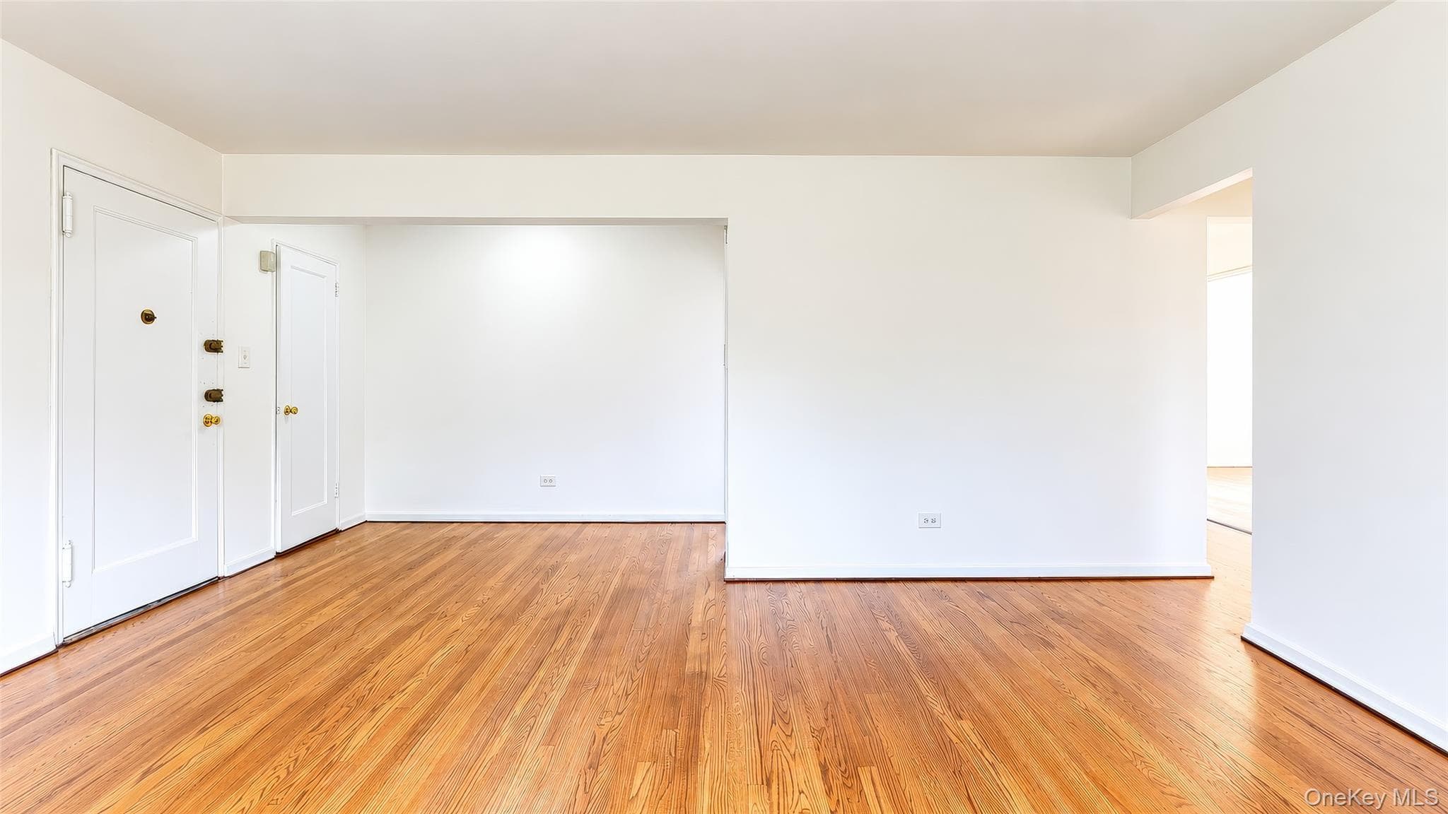 78-43 147th Street Unit: 3V thumbnail 8