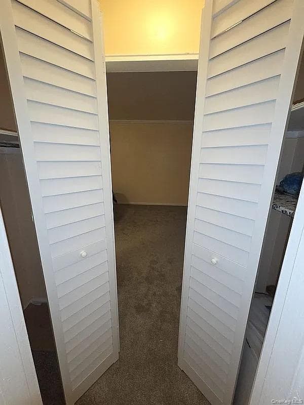1275 E 51st 51 Street Unit: 4M thumbnail 11