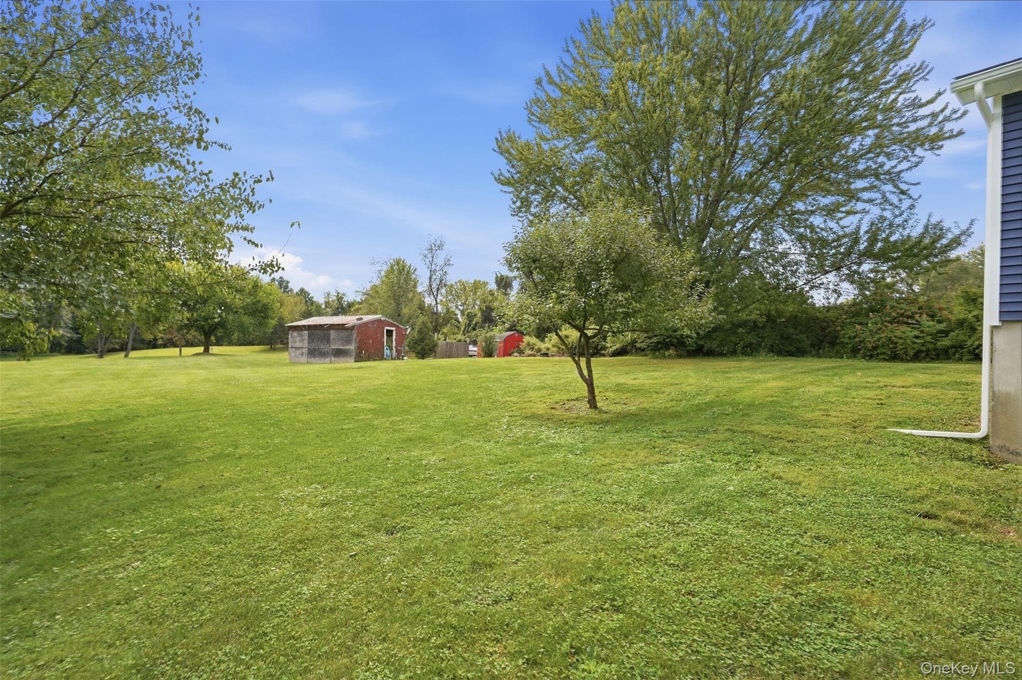 175 Nevis Road thumbnail 37