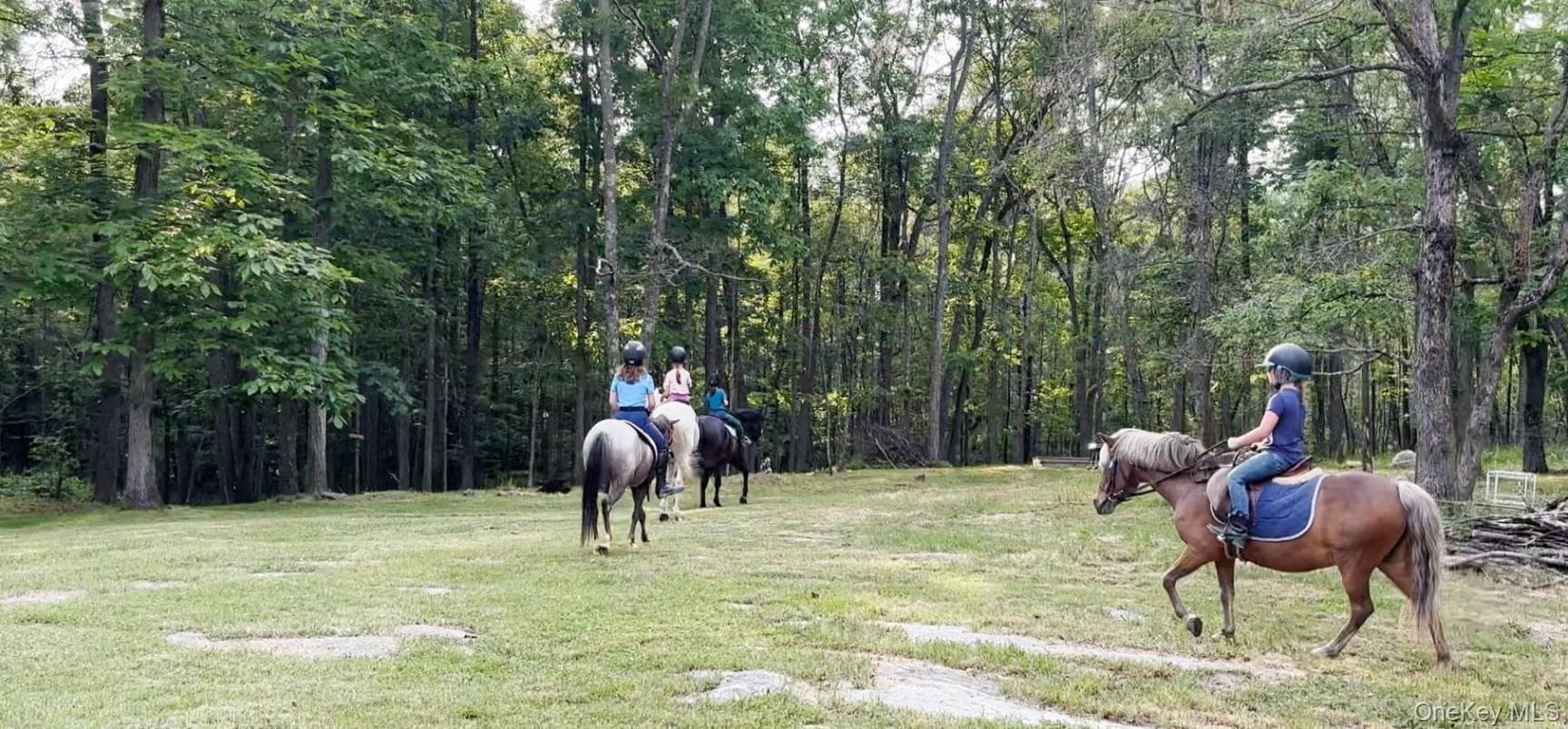2536 Wingdale Mtn Road thumbnail 31
