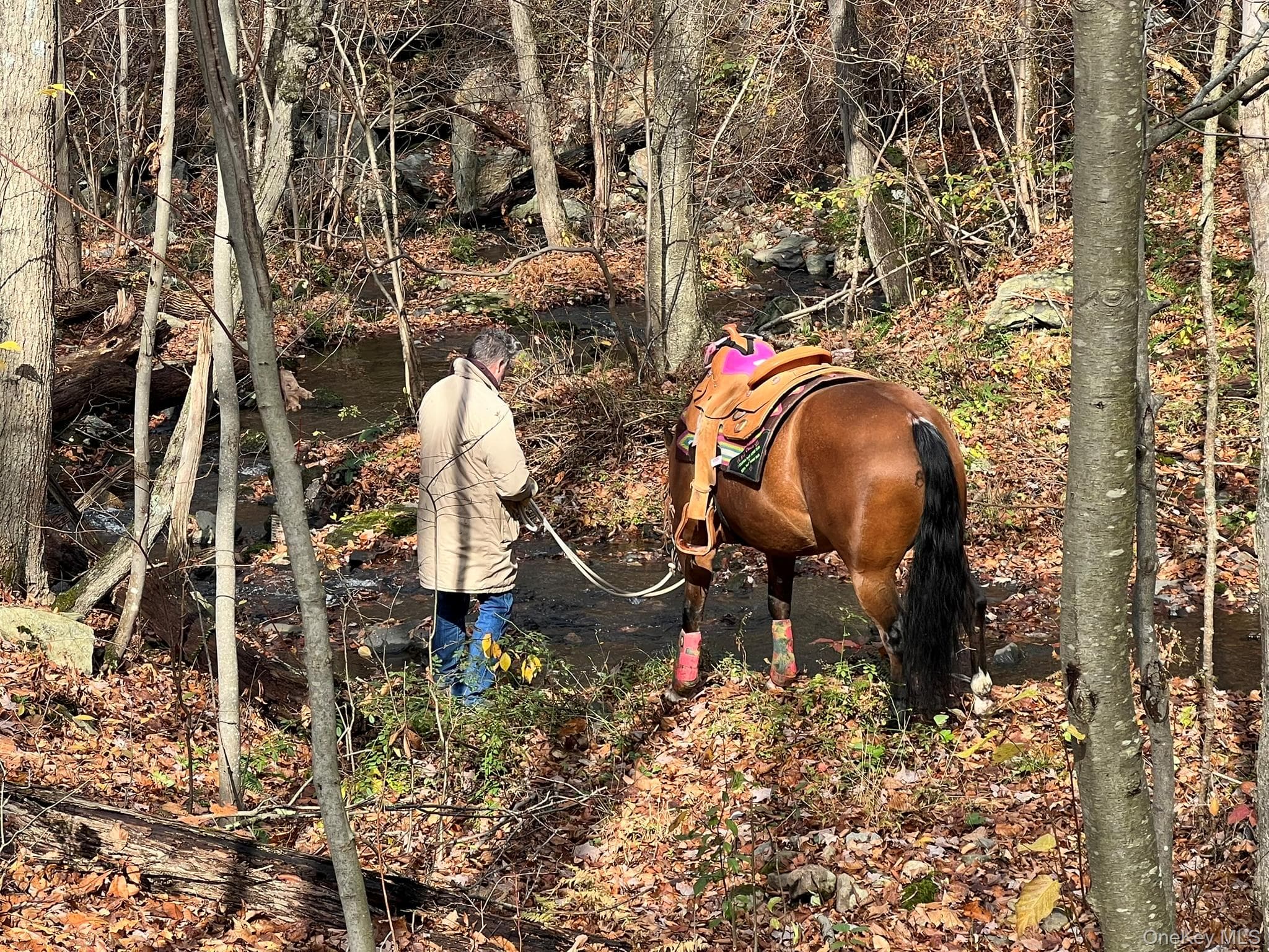 2536 Wingdale Mtn Road thumbnail 36