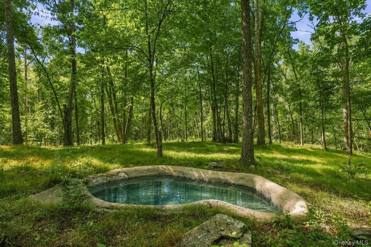 2536 Wingdale Mtn Road thumbnail 34