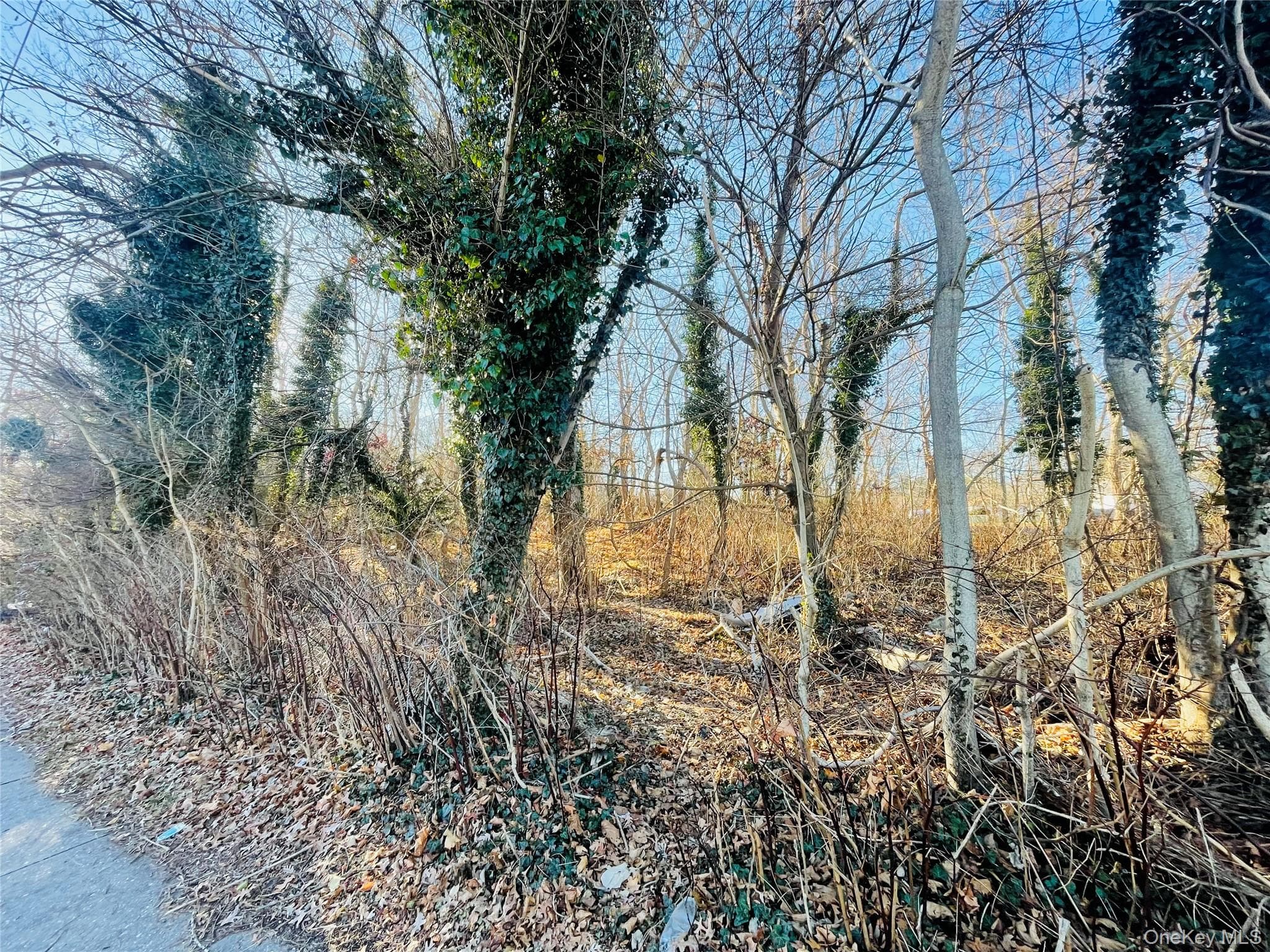 VL Meadowmere Avenue thumbnail 5
