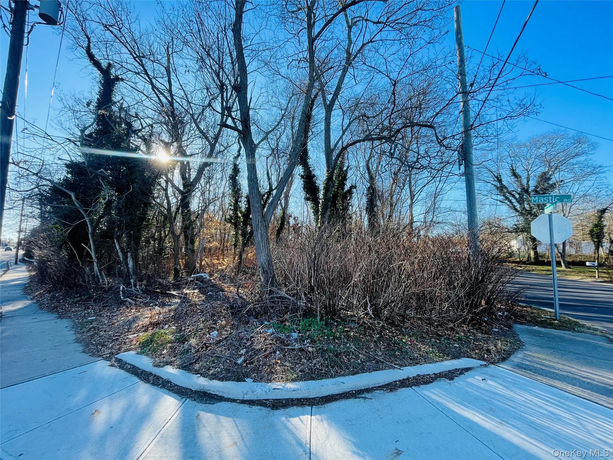 VL Meadowmere Avenue thumbnail 4