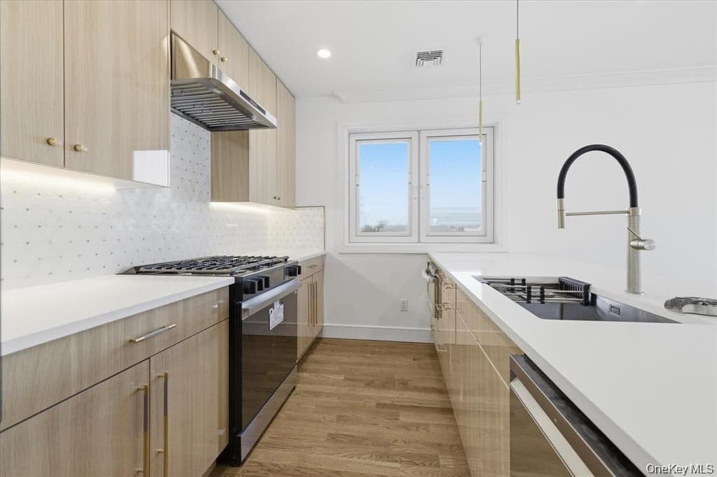 550 E Harrison Street thumbnail 9