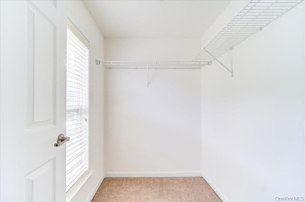 56 Plum Court Drive thumbnail 33