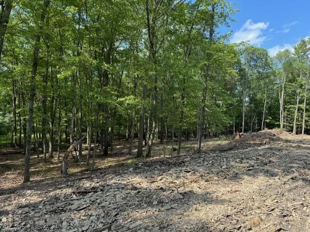 8 Twin Oaks Drive thumbnail 13