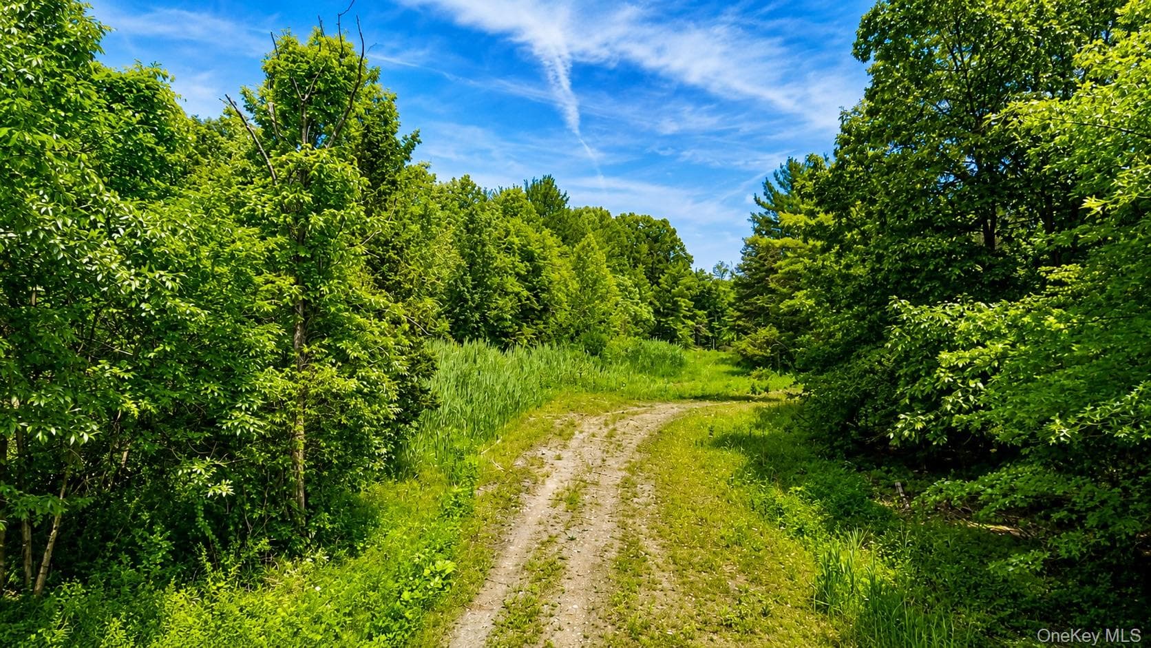 3 Deer Run West thumbnail 19