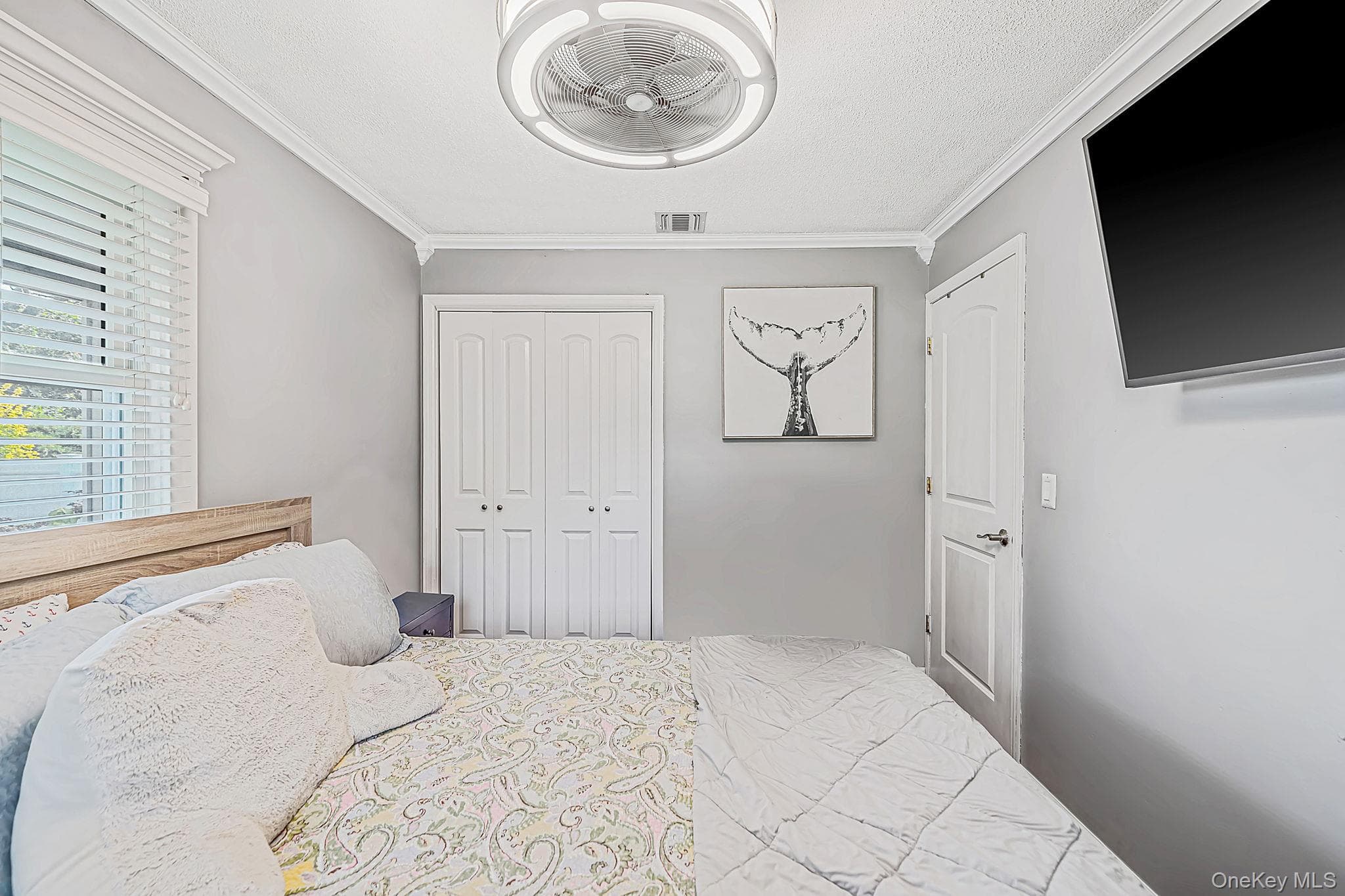517 Waverly Avenue thumbnail 28