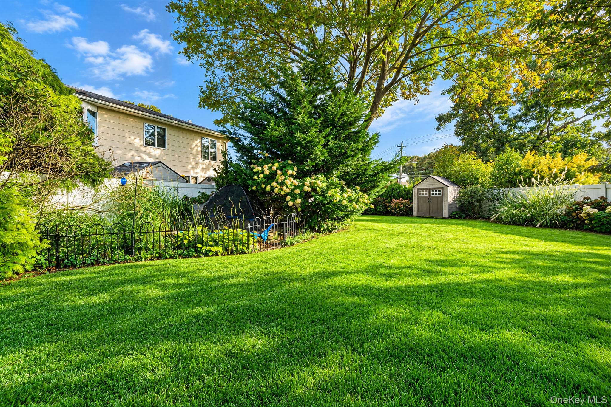 517 Waverly Avenue thumbnail 34