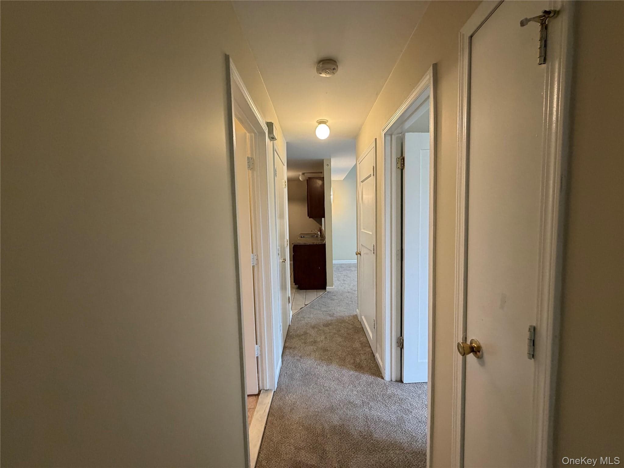 141 Ruth Court thumbnail 17