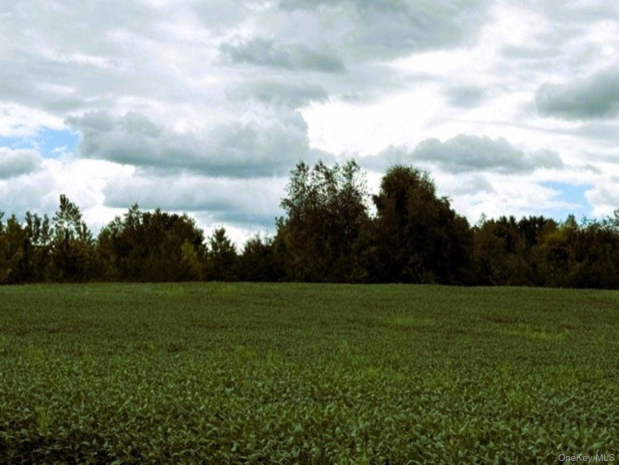 Us 9 thumbnail 10