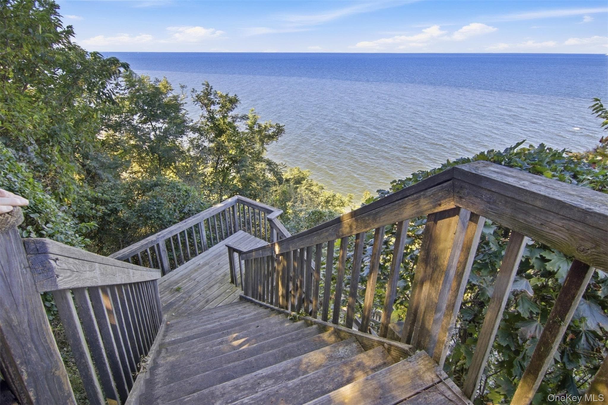 14 Seacliff Lane thumbnail 39