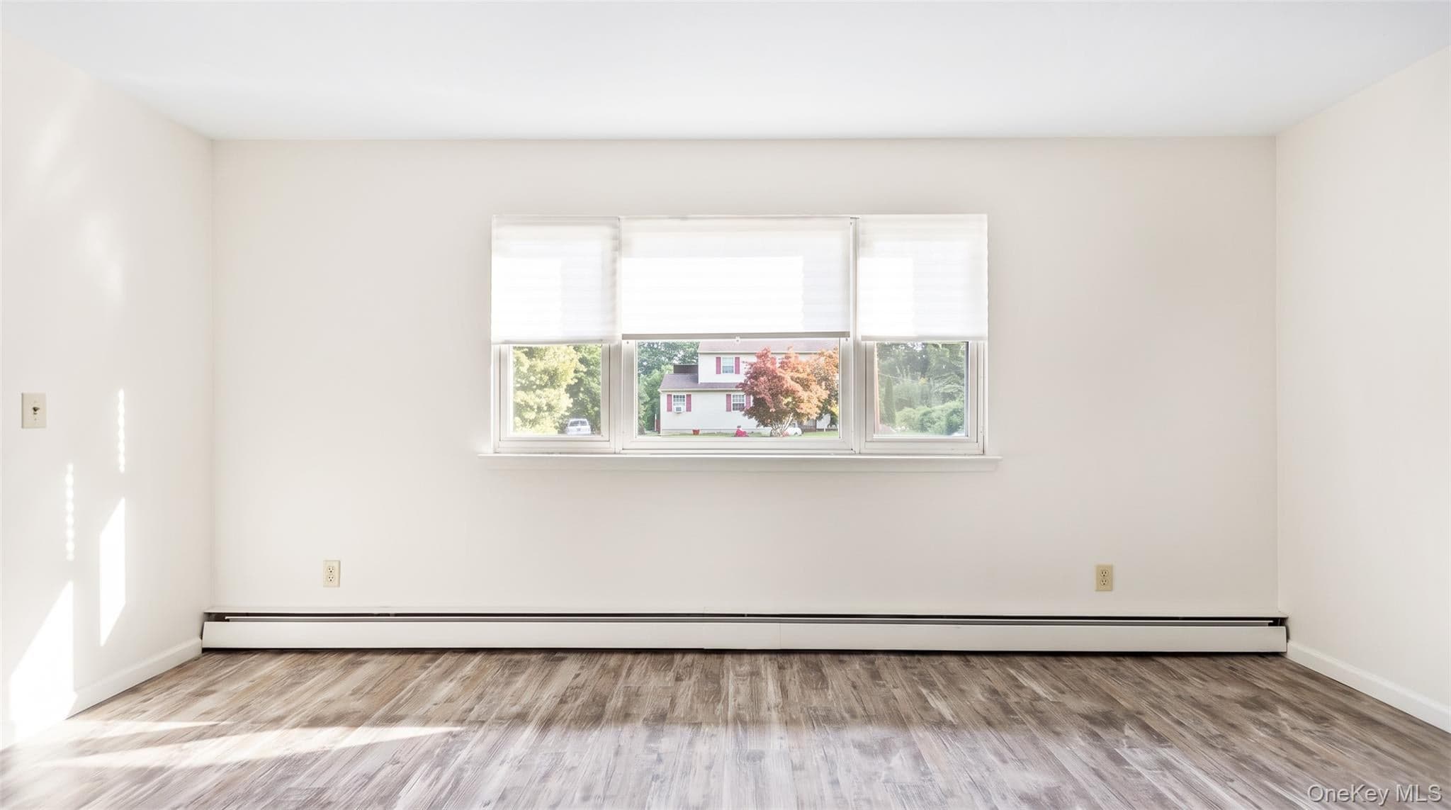 567 Boxwood Drive thumbnail 5