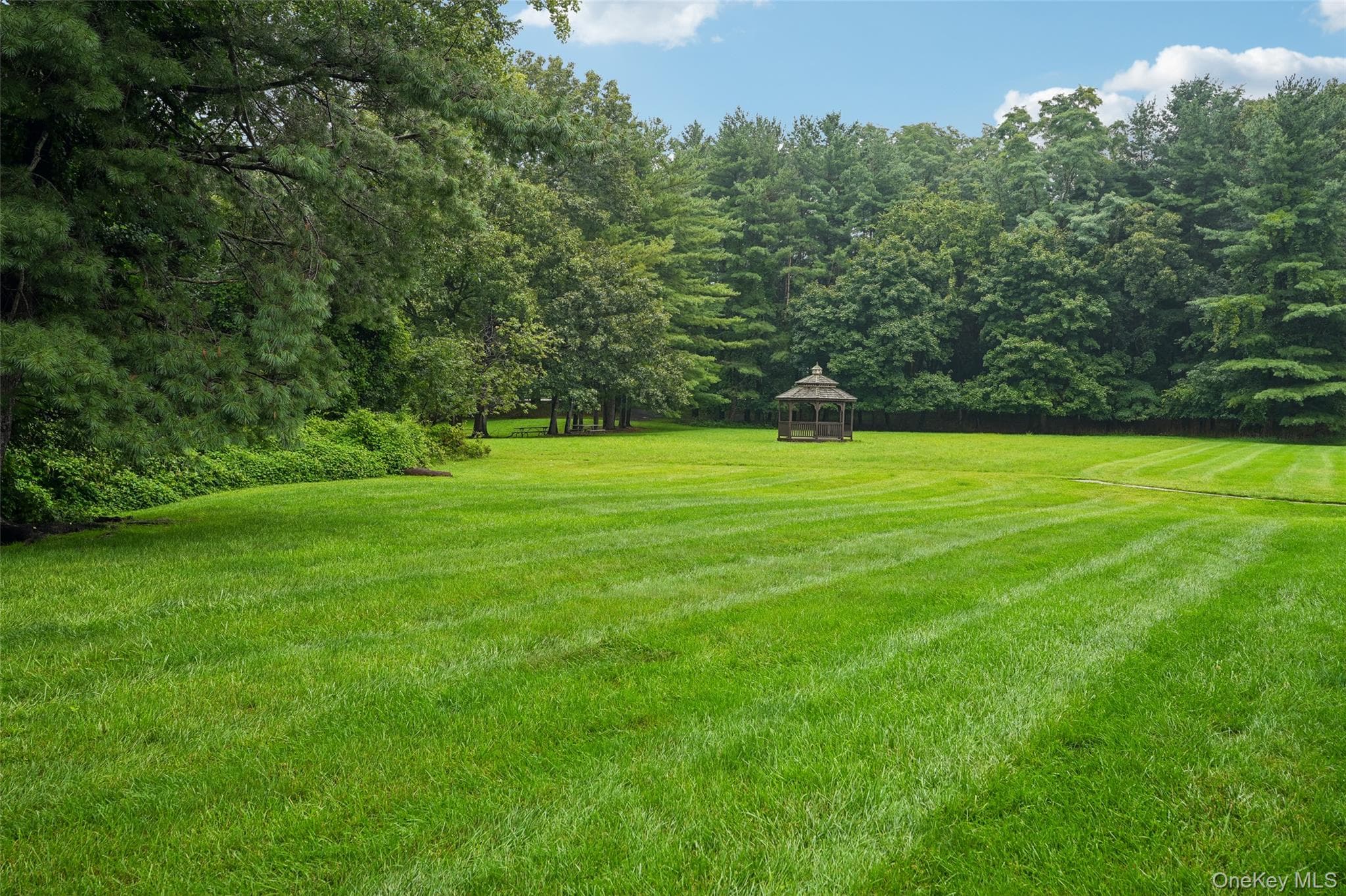 192 Doxbury Lane thumbnail 23