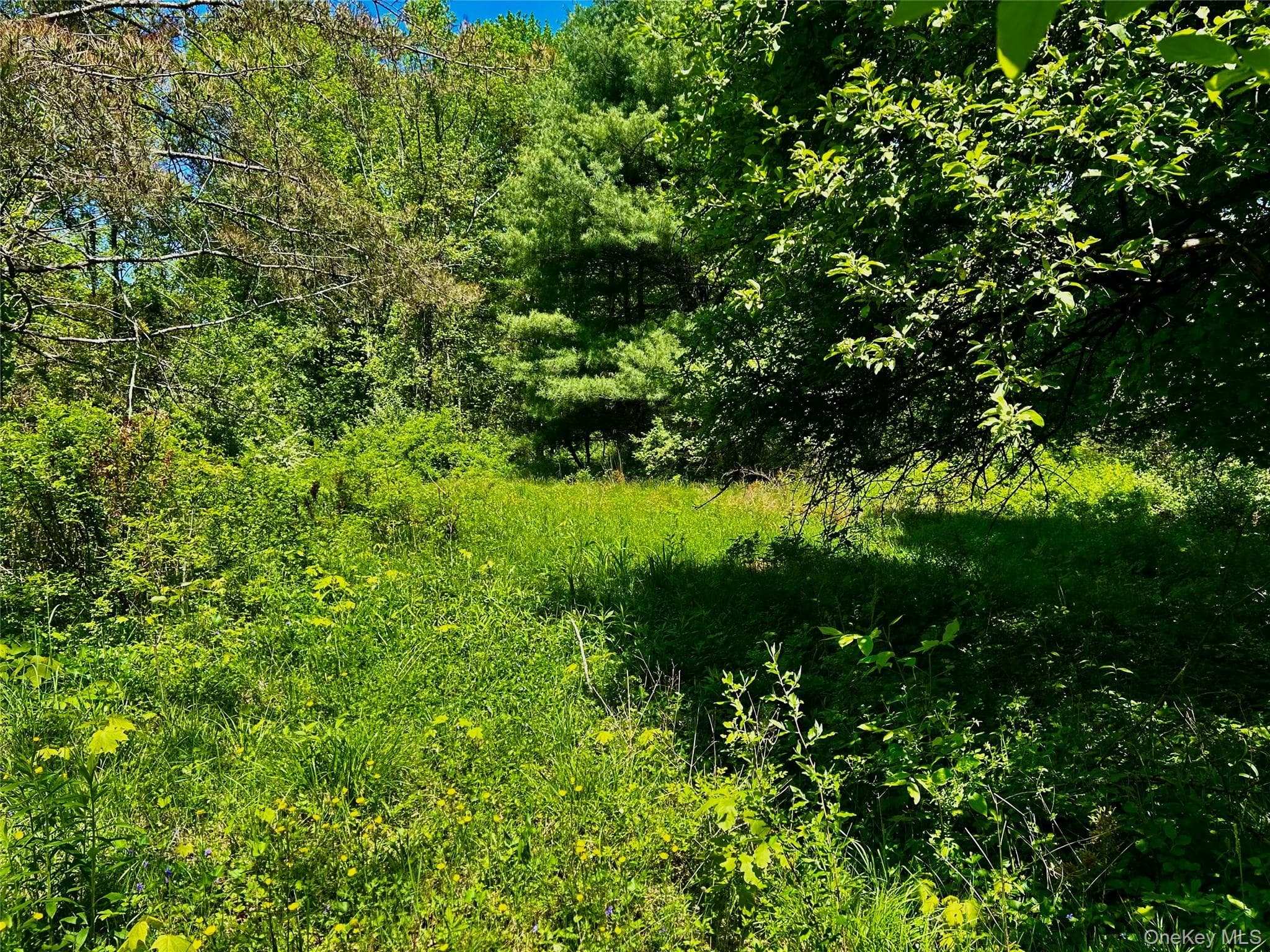 73 North Creek Road thumbnail 8