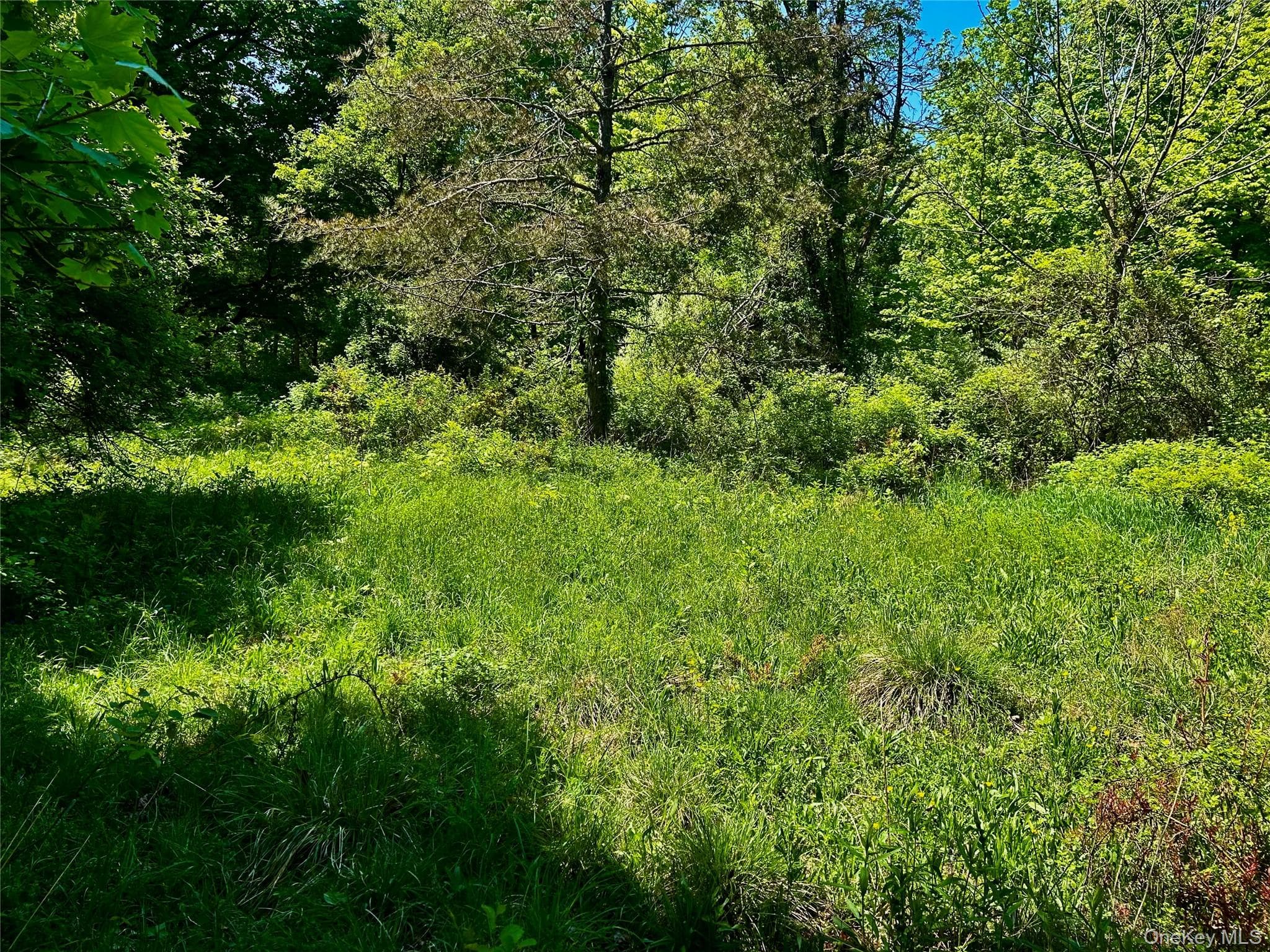 73 North Creek Road thumbnail 2