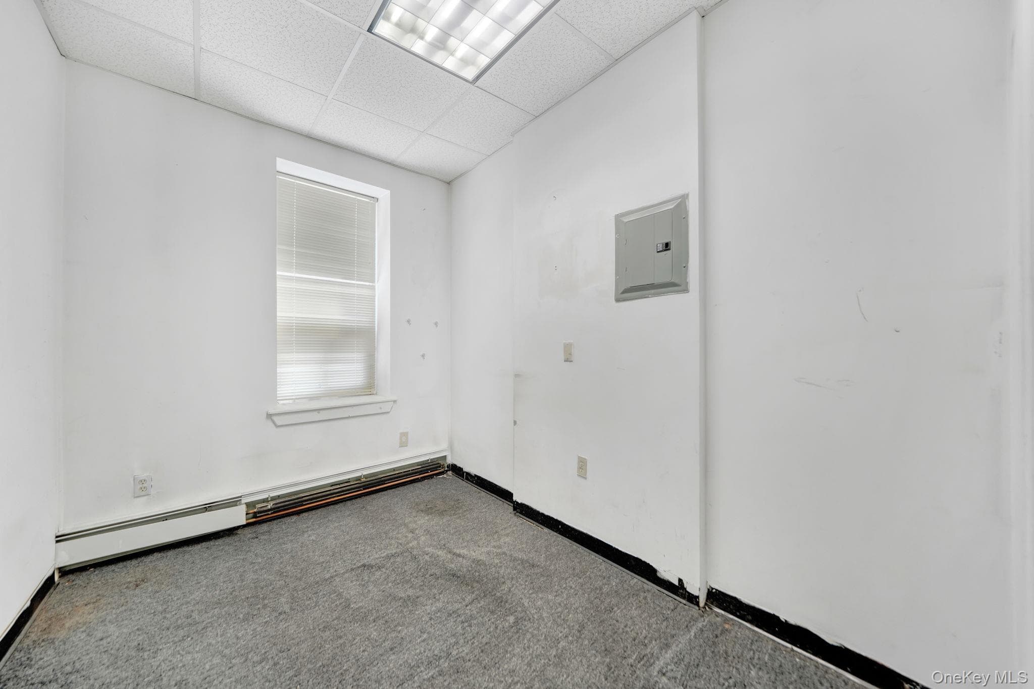834 Coney Island Avenue thumbnail 28