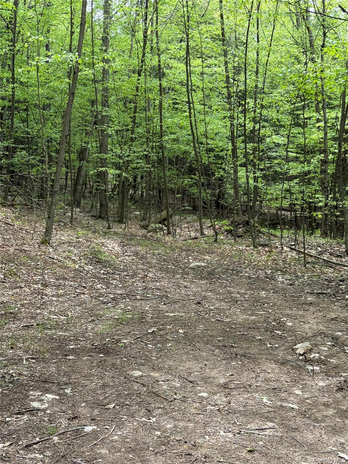 4912 County Highway 26 thumbnail 12