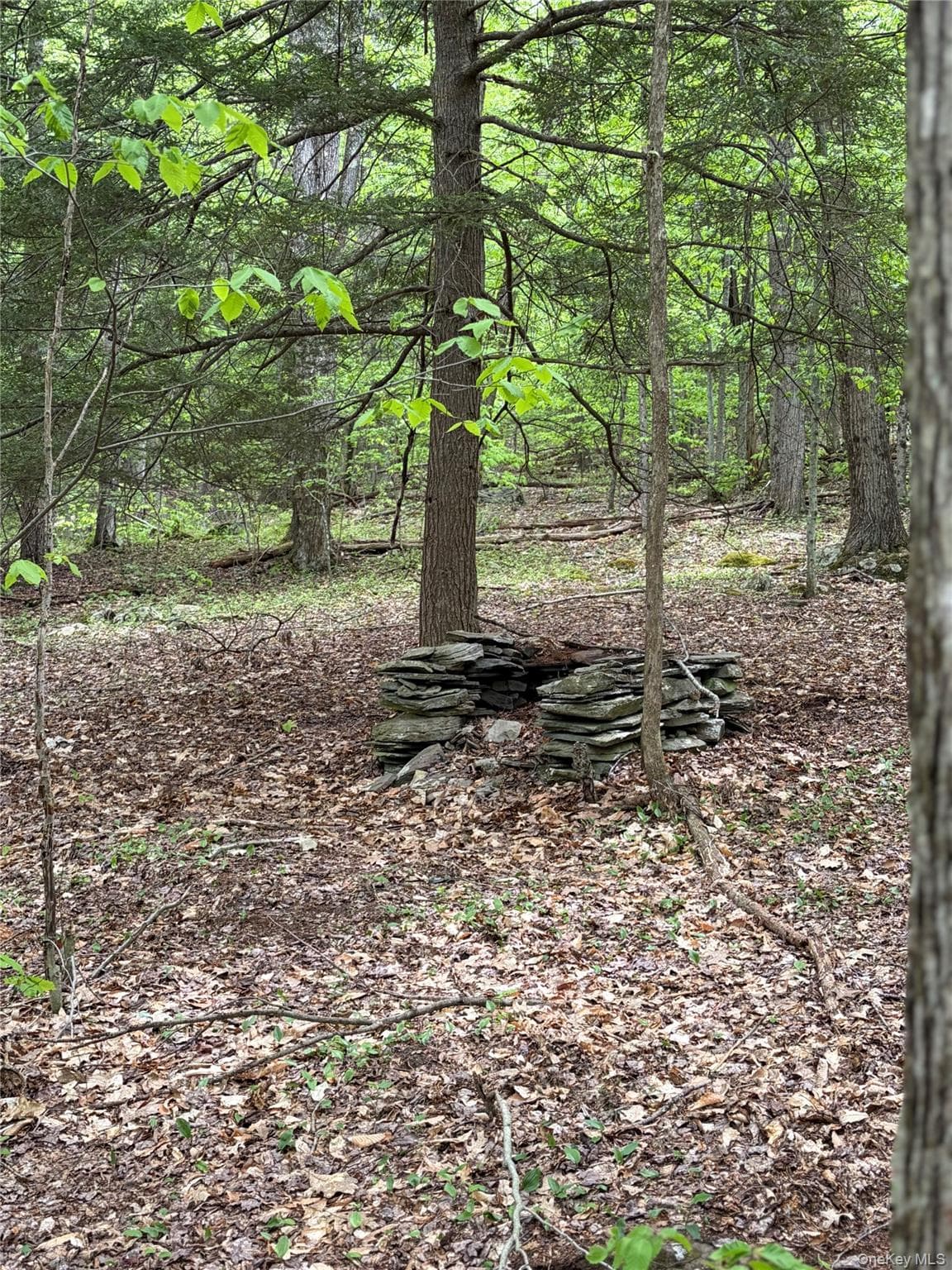 4912 County Highway 26 thumbnail 11