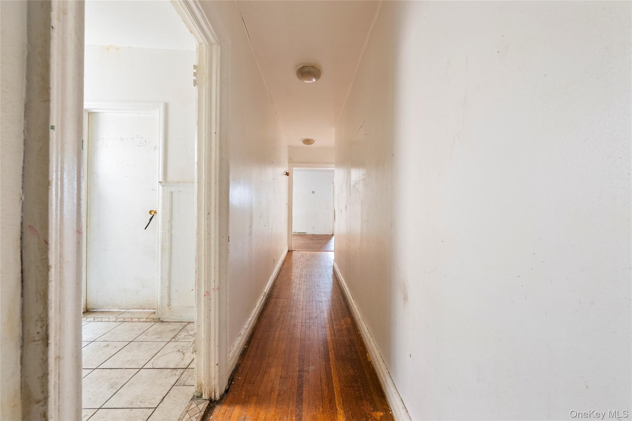 1715 Nelson Avenue Ave Unit: 4H thumbnail 4