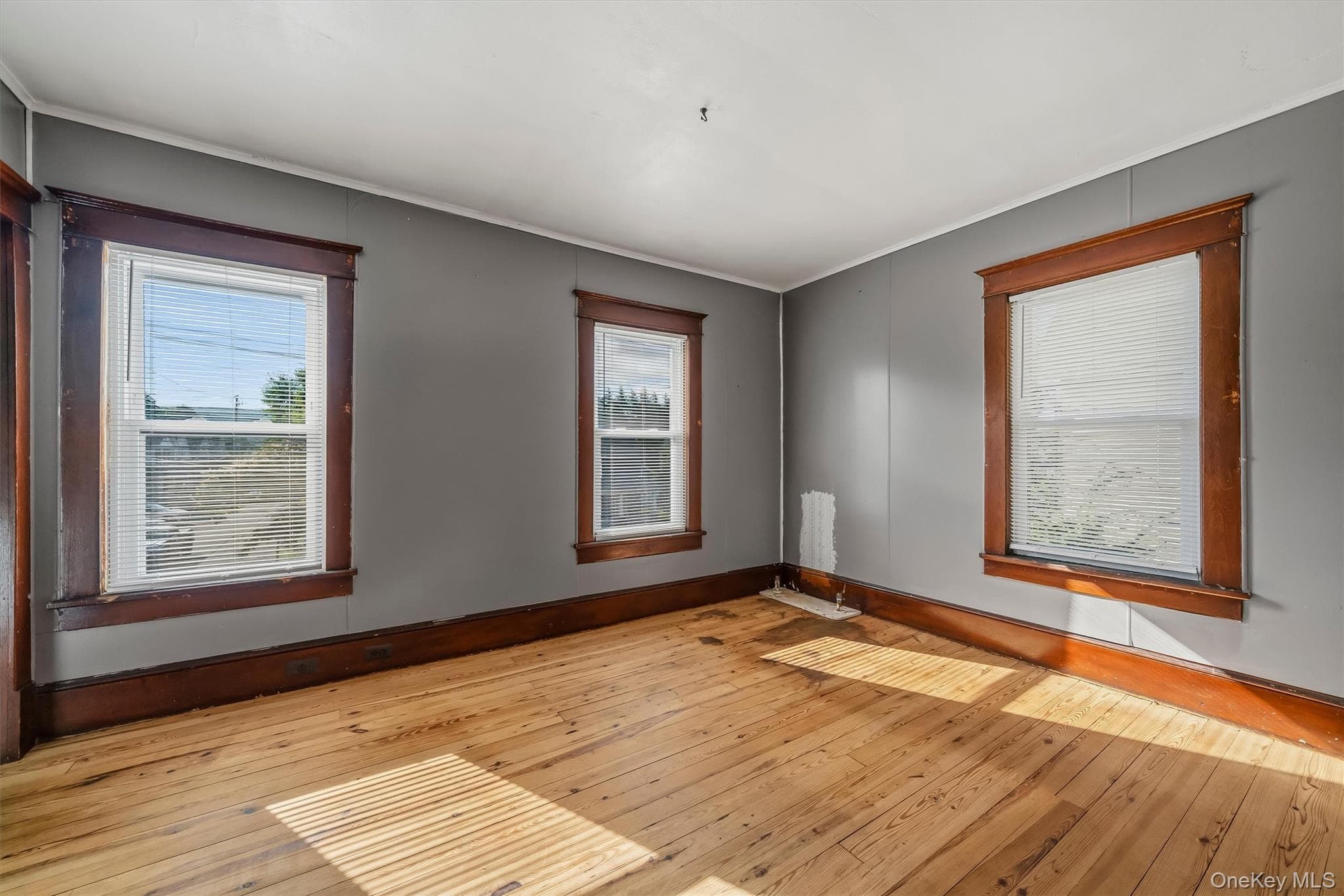 32 Kingston Avenue thumbnail 27