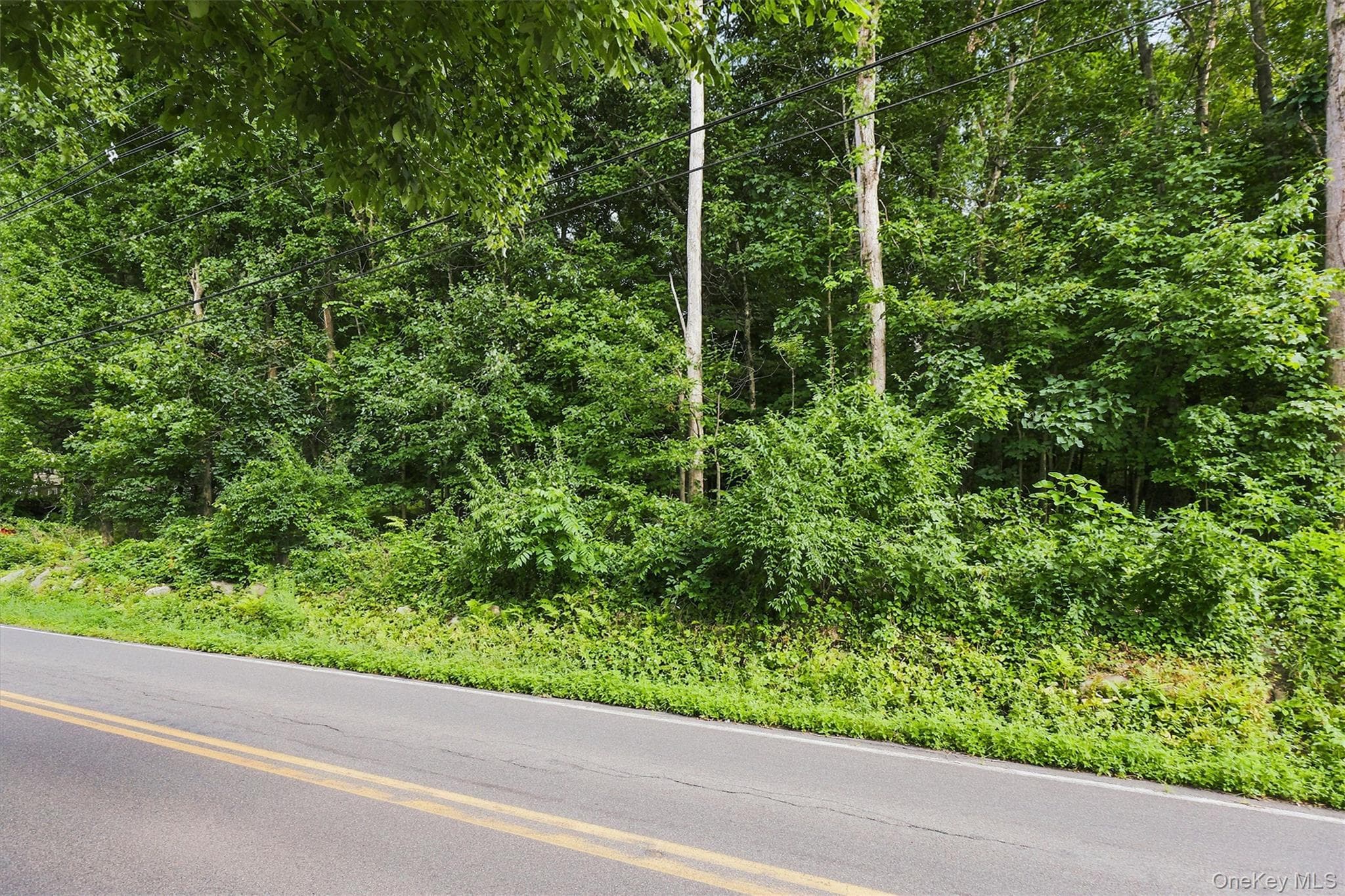 Brewer Road thumbnail 5