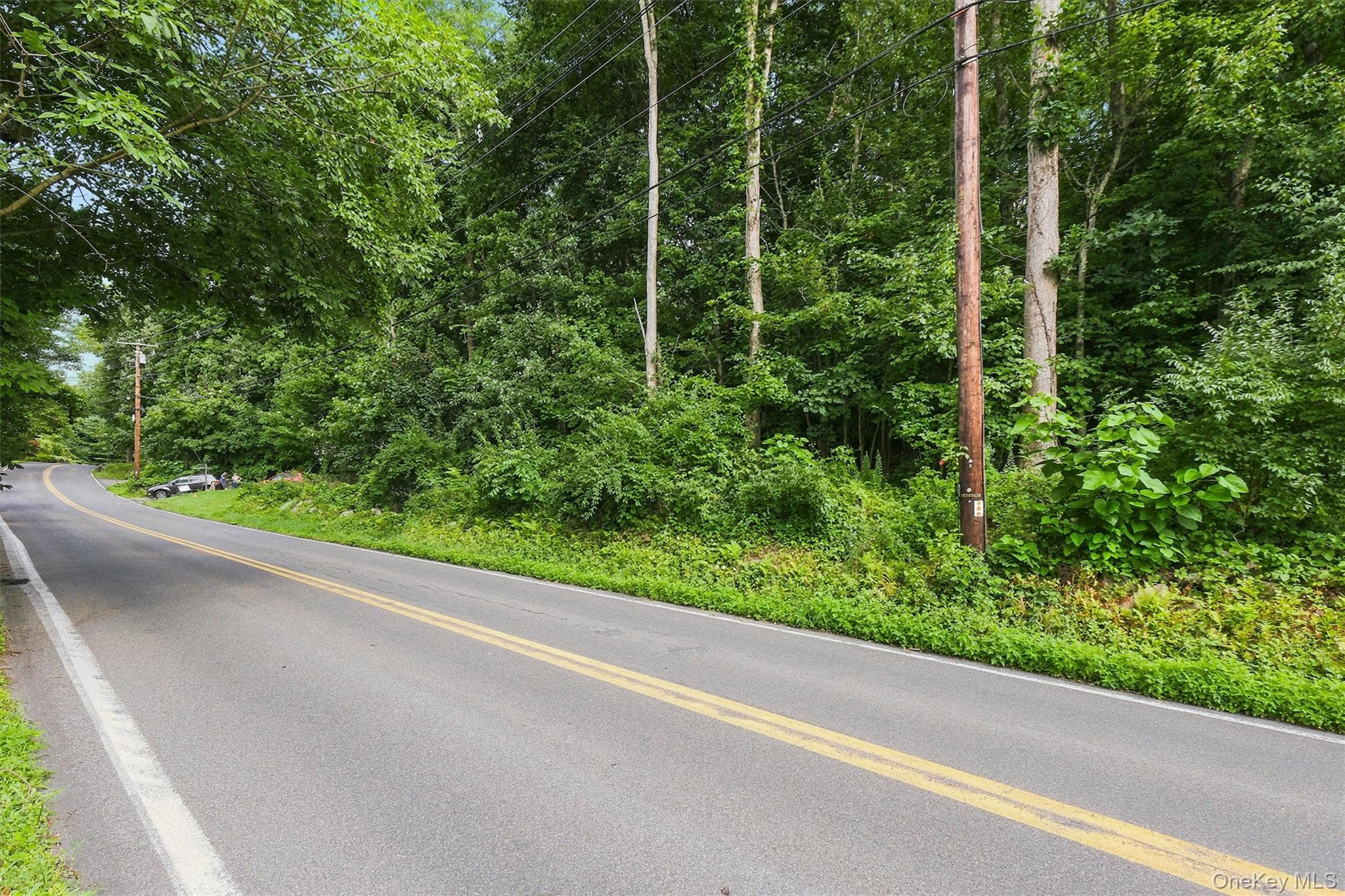 Brewer Road thumbnail 6
