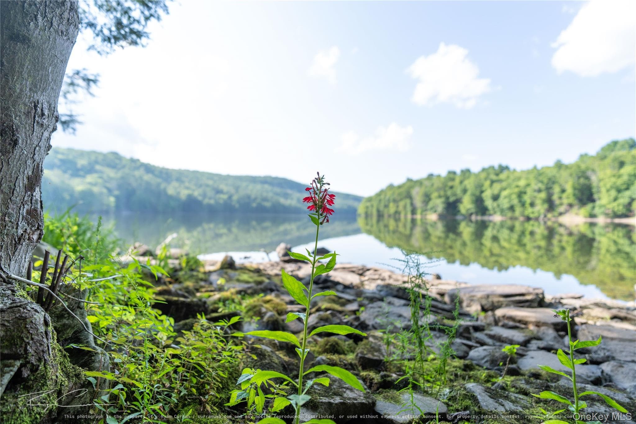Old Plank Road thumbnail 14