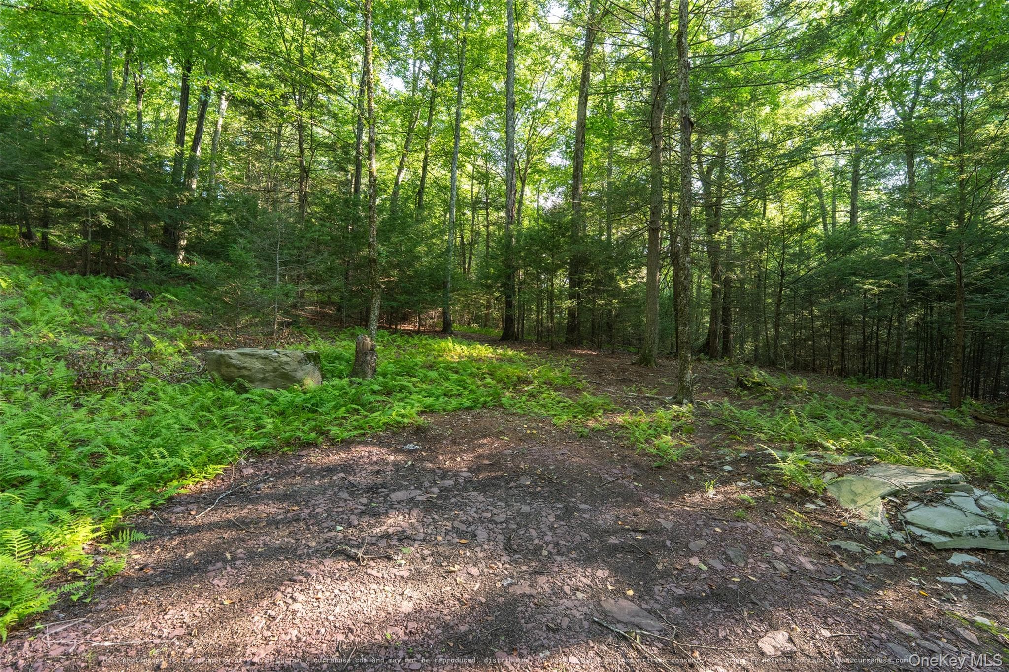 Old Plank Road thumbnail 26