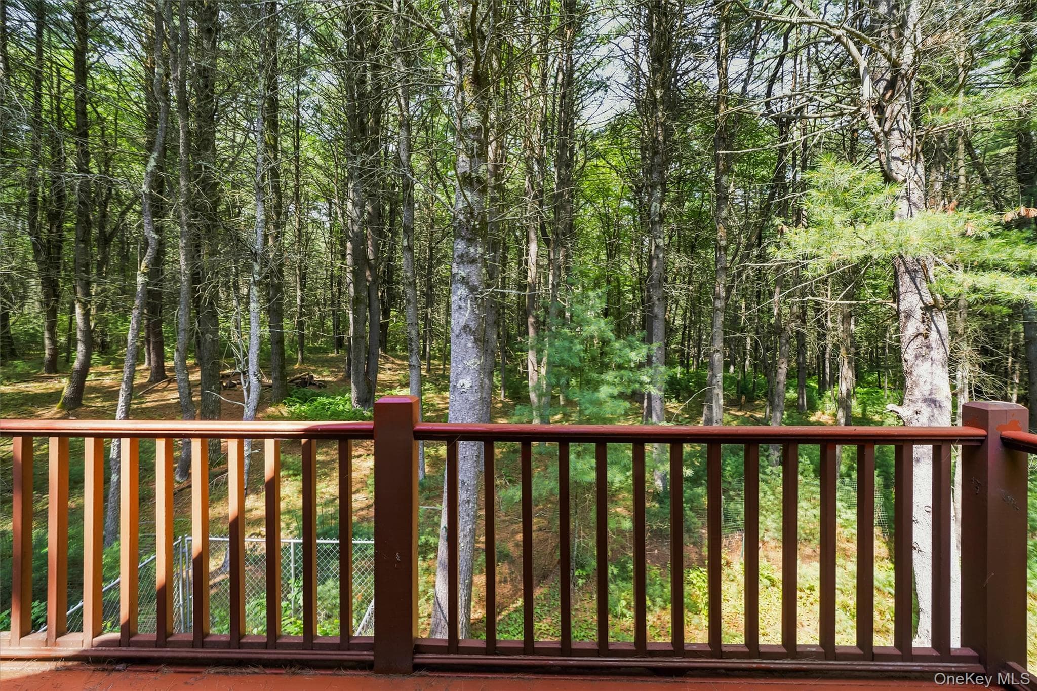 111 Deer Meadow Road thumbnail 31