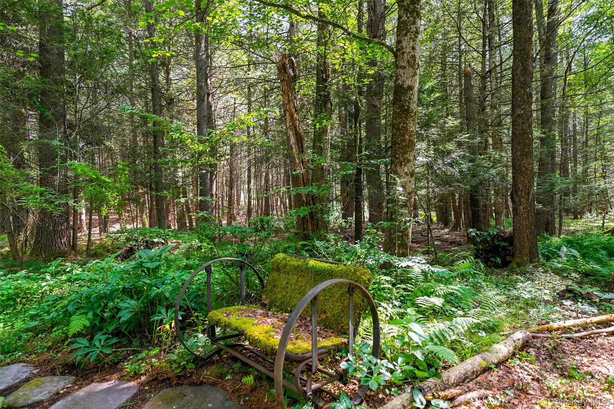111 Deer Meadow Road thumbnail 46
