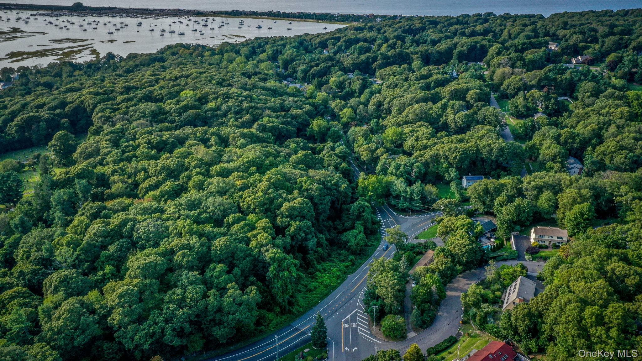 4 Hill Dale Avenue thumbnail 46