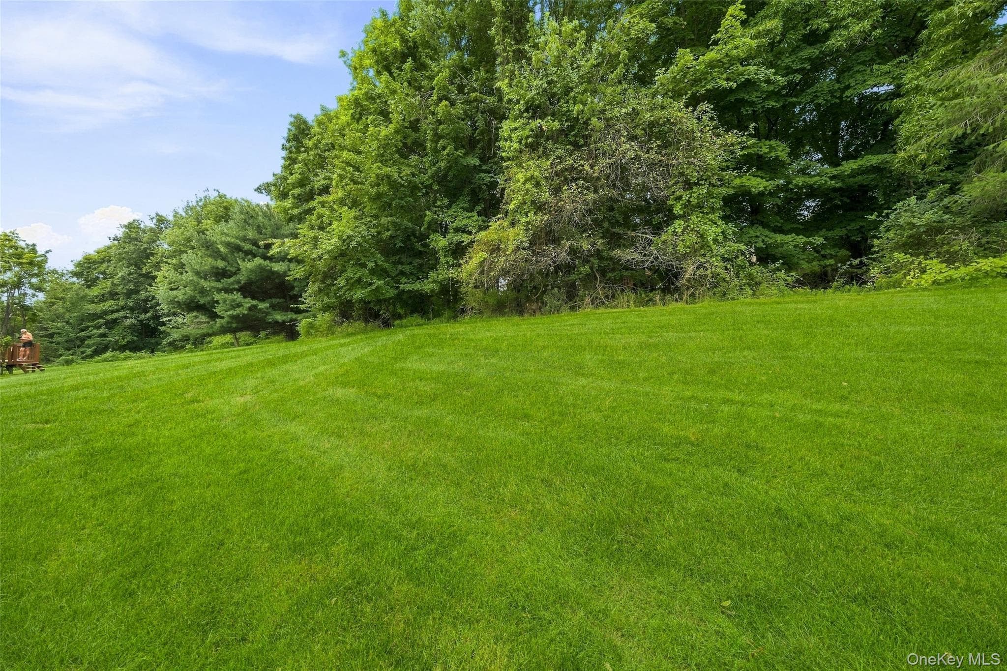 60 Rockridge Drive thumbnail 42