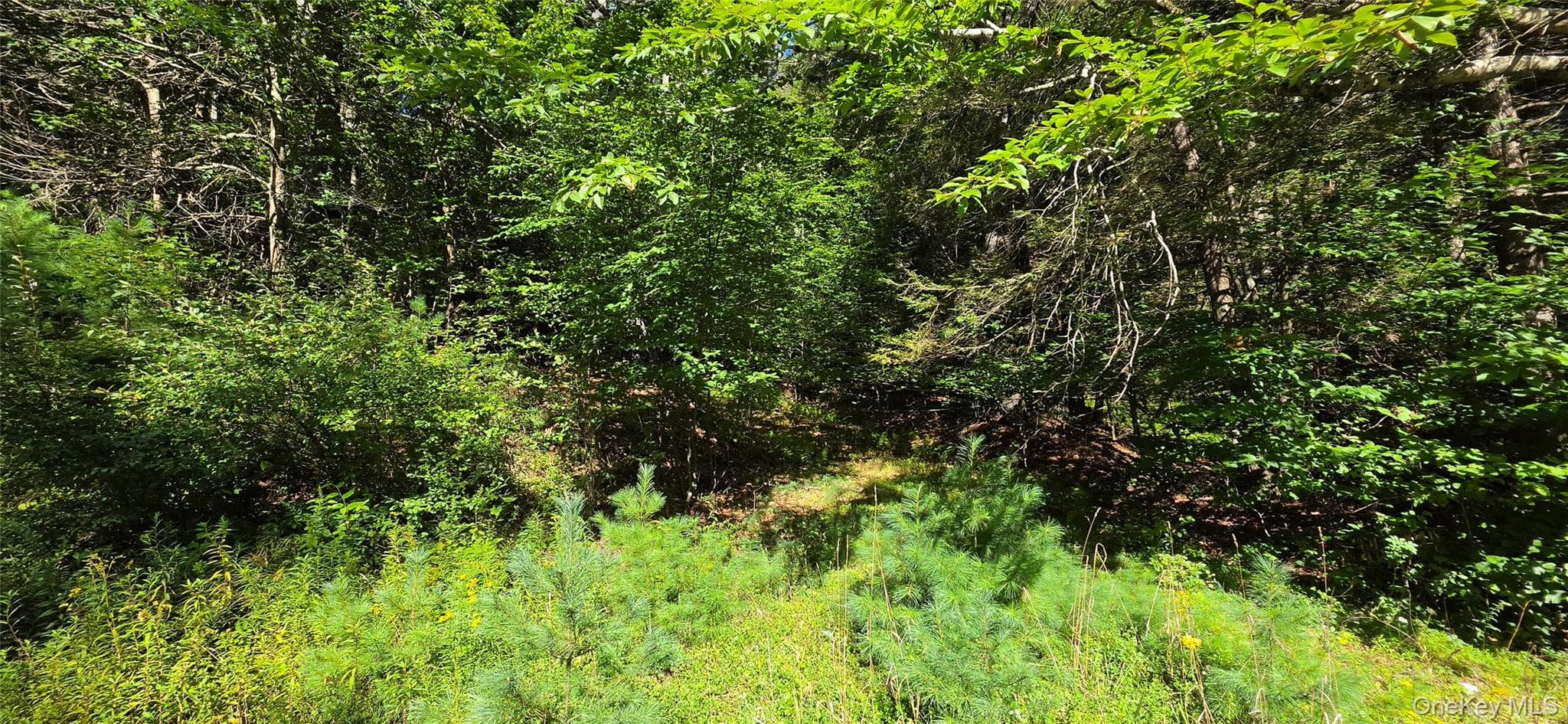 Lot 6 Nys 52 RD thumbnail 6