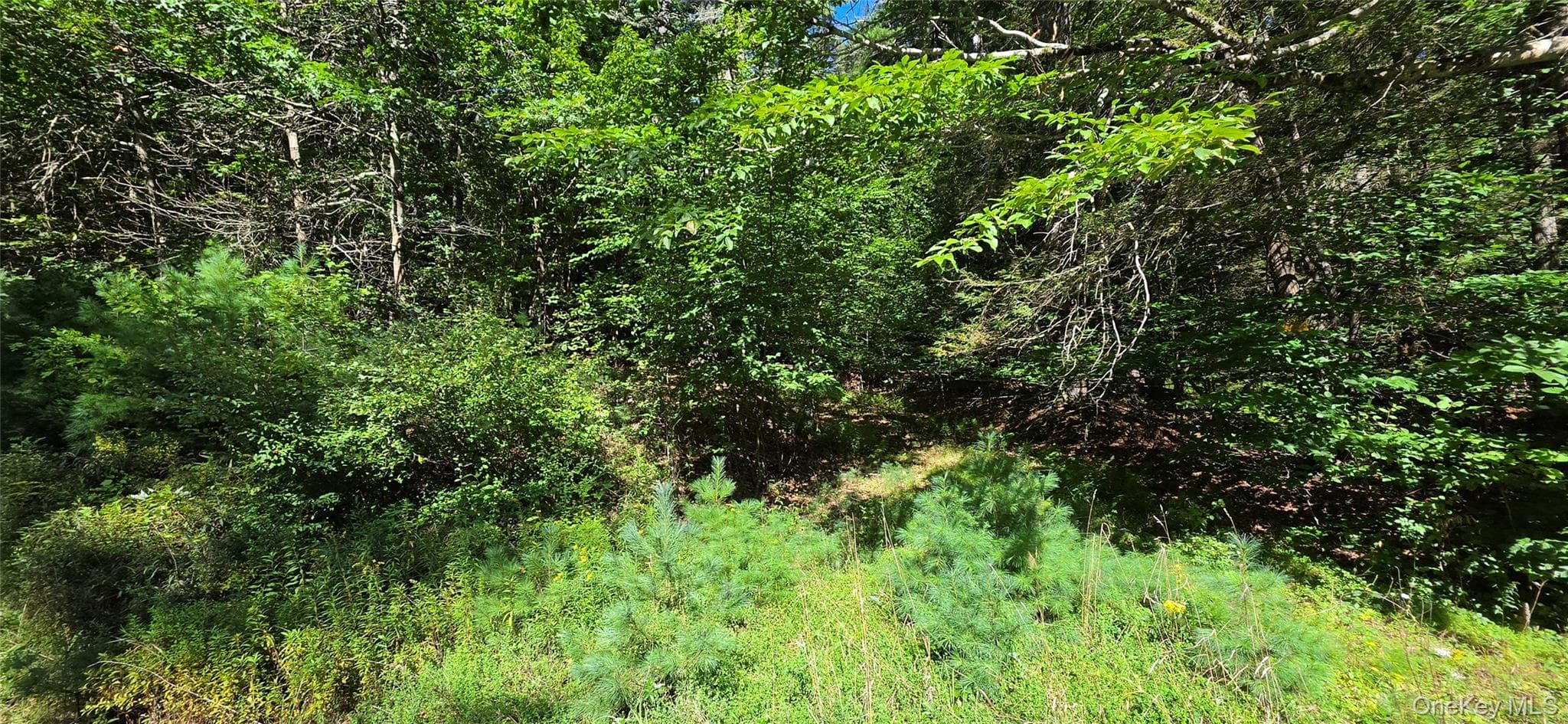 Lot 6 Nys 52 RD thumbnail 8