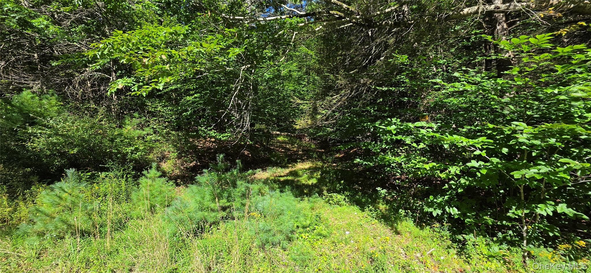 Lot 6 Nys 52 RD thumbnail 7