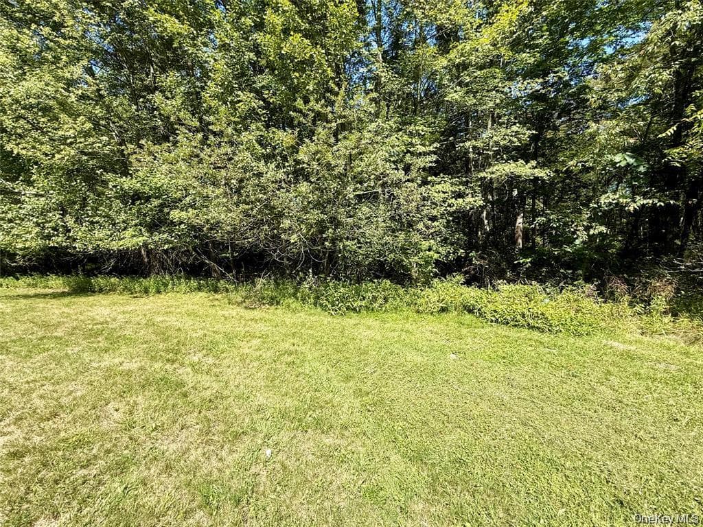 118 Old Roosa Gap Road thumbnail 13