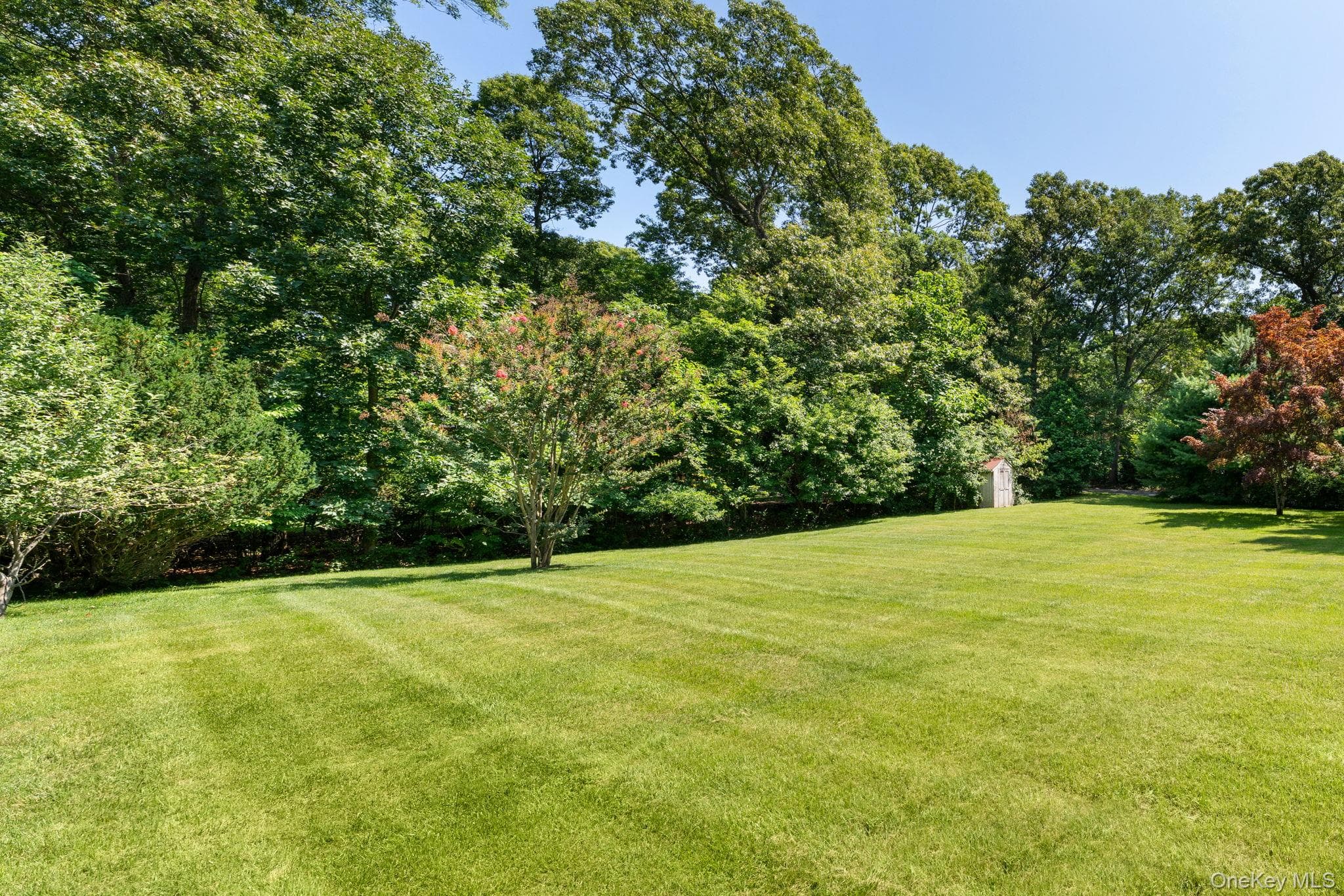 25 Brewster Avenue thumbnail 28