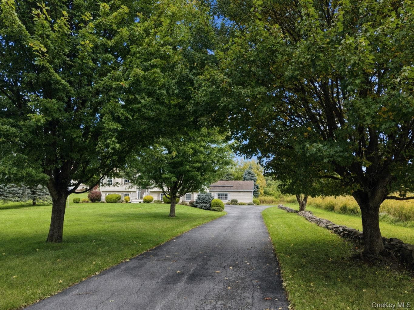 41 Mt Hope Avenue thumbnail 2
